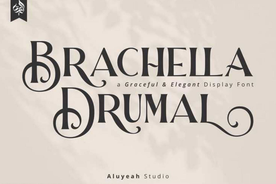 Brachella Drumal