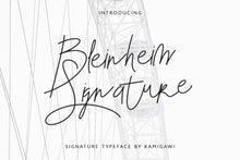 Load image into Gallery viewer, Bleinheim Signature
