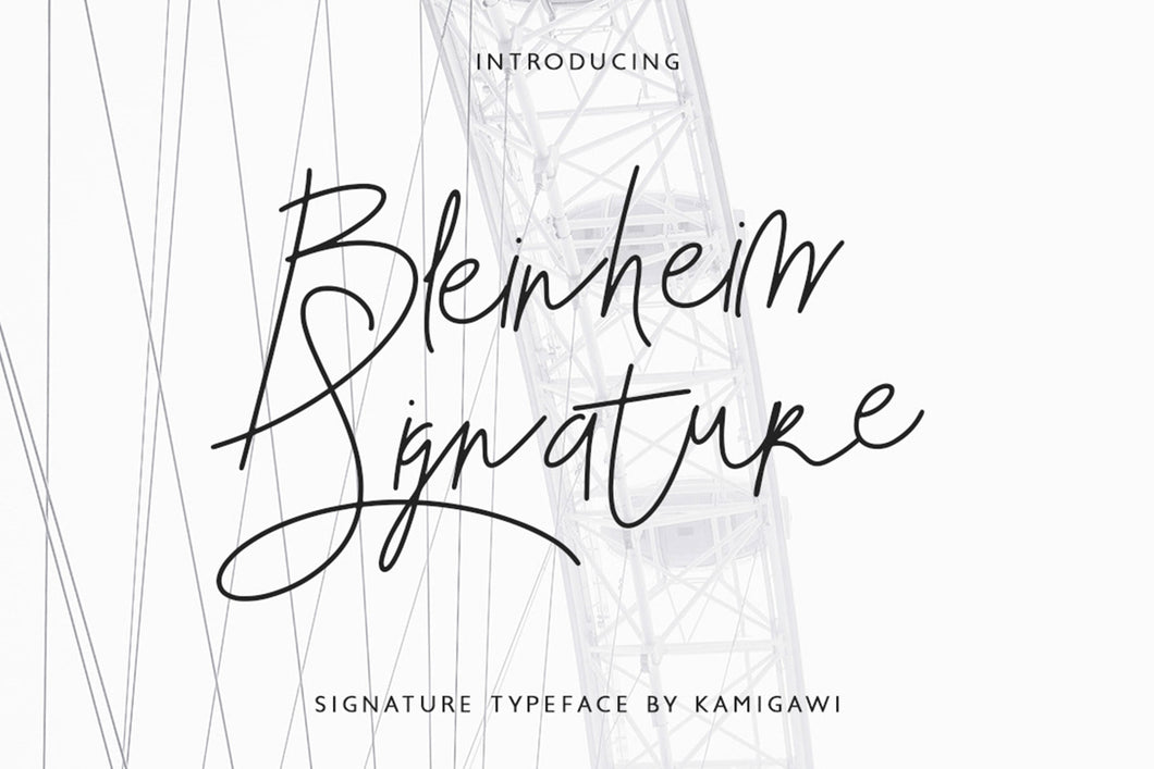 Bleinheim Signature