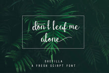 Load image into Gallery viewer, Shefilla
