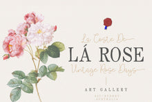 Load image into Gallery viewer, Rovey
