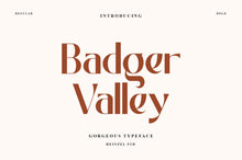 Load image into Gallery viewer, Badger Valley
