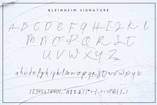 Load image into Gallery viewer, Bleinheim Signature
