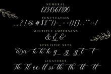 Load image into Gallery viewer, Anthasic Elegant Script Font
